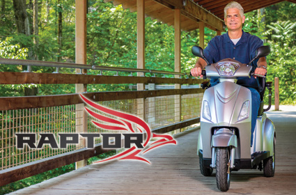 Raptor on a covered bridge